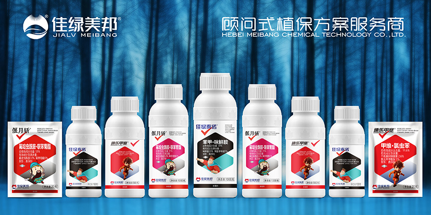 佳綠美邦——“智慧盾牌”讓產品脫穎而出、超級符號就是超級價值！
